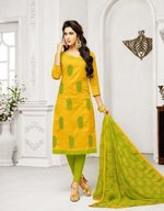 Exclusive Summer Collection Unsritched Dress Material