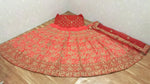 presenting New Designer Carrot Lahenga Choli